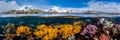 Split view of colorful coral reef ecosystem and mountainous landscape above water Royalty Free Stock Photo