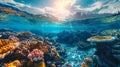 Split view of a coral reef and the sky above. Concept of two worlds, ocean exploration, natural underwater beauty, and Royalty Free Stock Photo