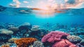 Split view of great barrier reef coral marine ecosystem at sunset in queensland, australia Royalty Free Stock Photo