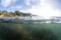 Split View With Gull Royalty Free Stock Photo