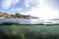 Split View With Gull Royalty Free Stock Photo