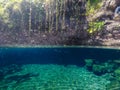 Split view of Piula Cave Pool swimming hole with a fish swimming Royalty Free Stock Photo