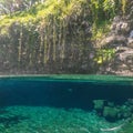 Split view of Piula Cave Pool swimming hole with a fish swimming Royalty Free Stock Photo