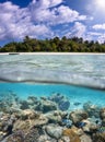 Split view to a tropical island with a colorful reef and fish in the sea Royalty Free Stock Photo
