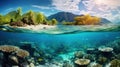 Split View of Tropical Island and Underwater Coral Reef Royalty Free Stock Photo