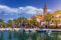 Splitska village with beautiful port and seagull's flying over the village, Brac island, Croatia. Fishing boats in Splitska