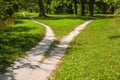 Splitting the footpath in the park