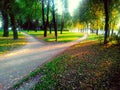 Splitting a footpath in a park in the rays of the setting sun