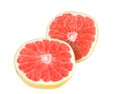 Splitting half, ripe, organic grapefruit isolated. Royalty Free Stock Photo