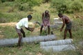 Splitting palmyra logs