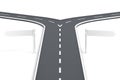 Splitting road with blank road signs Royalty Free Stock Photo