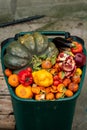 Spoiled discarded rotten fruits and vegetables in the trash. Losses on the farm and in the orchard, food waste