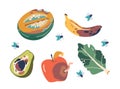 Spoiled Fruits And Vegetables. Pumpkin, Banana, Avocado, Apple and Greens, Emit A Pungent Stench, Vector Illustration