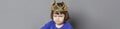 Preschooler with attitude sulking with mollycoddled kid crown, long banner Royalty Free Stock Photo