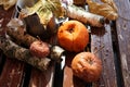 Spoiled, moldy and damaged kiwi, peach and apple on old wooden white table, unhealthy eating