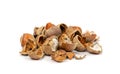 Spoiled Nuts, Mold on Nut Shells, Low Quality Toxic Products, Improper Storage, Spoiled Hazelnuts Isolated Royalty Free Stock Photo