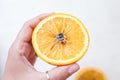 Spoiled orange. The black middle inside the fruit Royalty Free Stock Photo
