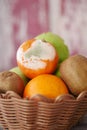 Spoiled Orange Fruit with Visible Fungal Mold in Bright Lighting Royalty Free Stock Photo