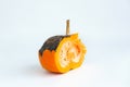 Spoiled orange pumpkin in a cut on a white background Royalty Free Stock Photo