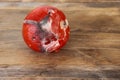 Spoiled overripe tomato close-up, closeup covered with white mold fibers, concept of expired fruits, proper conditions and shelf