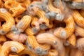 Spoiled pasta, green mold on pasta, close-up Royalty Free Stock Photo