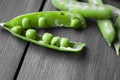 Spoiled peas in a pod. Wooden background in gray colors and green pennies. Worm peas in a green pod. the beans in the