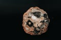Pumpkin covered with mold on a black background Royalty Free Stock Photo