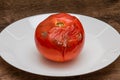 Spoiled rotten with moldy tomato on a plate Royalty Free Stock Photo