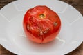 Spoiled rotten with moldy tomato on a plate Royalty Free Stock Photo
