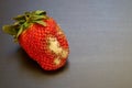 Spoiled strawberries covered in mold on the table