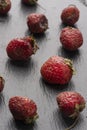 Spoiled strawberry flat lay. Ironic market food photos. stale foods can be beautiful. vertical photo