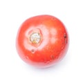 Spoiled tomato isolated Royalty Free Stock Photo
