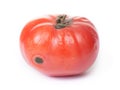 Spoiled tomato on white background Royalty Free Stock Photo