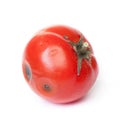 Spoiled tomato on white background Royalty Free Stock Photo