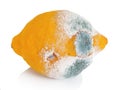 Spoilt lemon on white background Royalty Free Stock Photo