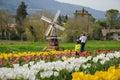 SPOLETO, ITALY - APRIL 11, 2023: Happy family in the famous tulipark of Spoleto with beautiful tulips and windmill