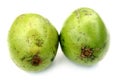 Spondias or hog plum Royalty Free Stock Photo