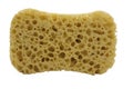 Sponge