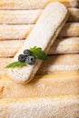 Sponge biscuits - ladyfinger savoiardi Royalty Free Stock Photo