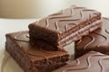 Sponge cake with chocolate on the plate