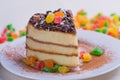 Sponge cake with chocolate topping