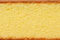 Sponge cake