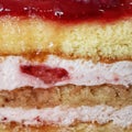 Sponge Cake Strawberry Cream Layers Slice Royalty Free Stock Photo