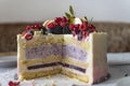 Sponge cake with yogurt and fruit filling in section. Delicious dessert decorated with fresh berries. Close-up Royalty Free Stock Photo