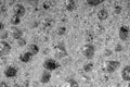 Sponge detail texture, sponge texture closeup background. Cellulose sponge texture. Black and white Royalty Free Stock Photo
