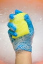 Sponge with foam in the hand of a woman in a blue glove. cleaning the house Royalty Free Stock Photo