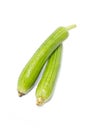 Sponge Gourd. Royalty Free Stock Photo