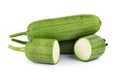 Sponge Gourd on white background Royalty Free Stock Photo