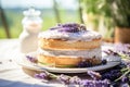 Sponge lavender cream cake with berry cream adorned with a fresh lavender branch on sunny light background. Generative