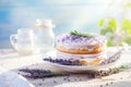 Sponge lavender cream cake with berry cream adorned with a fresh lavender branch on sunny light background. Generative